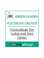 Tripadvisor platinum Green Leader