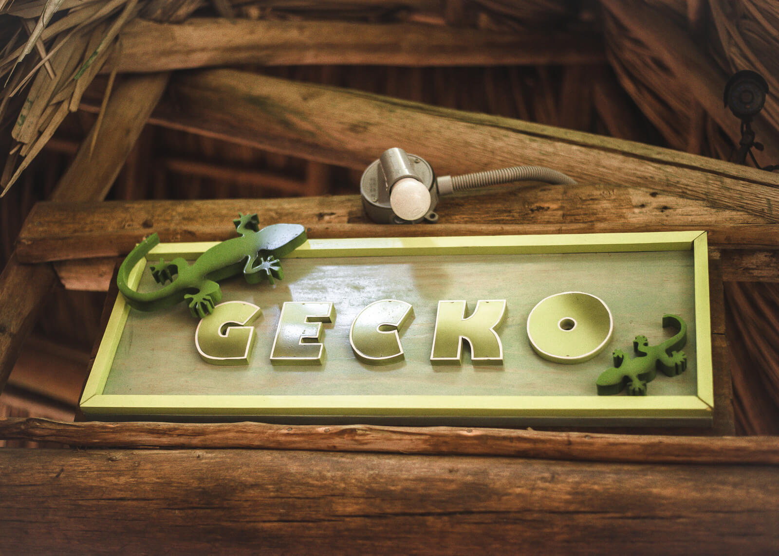 Gecko Tranquilseas
