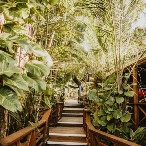 Okouzlující tropická zahrada Tranquilseas